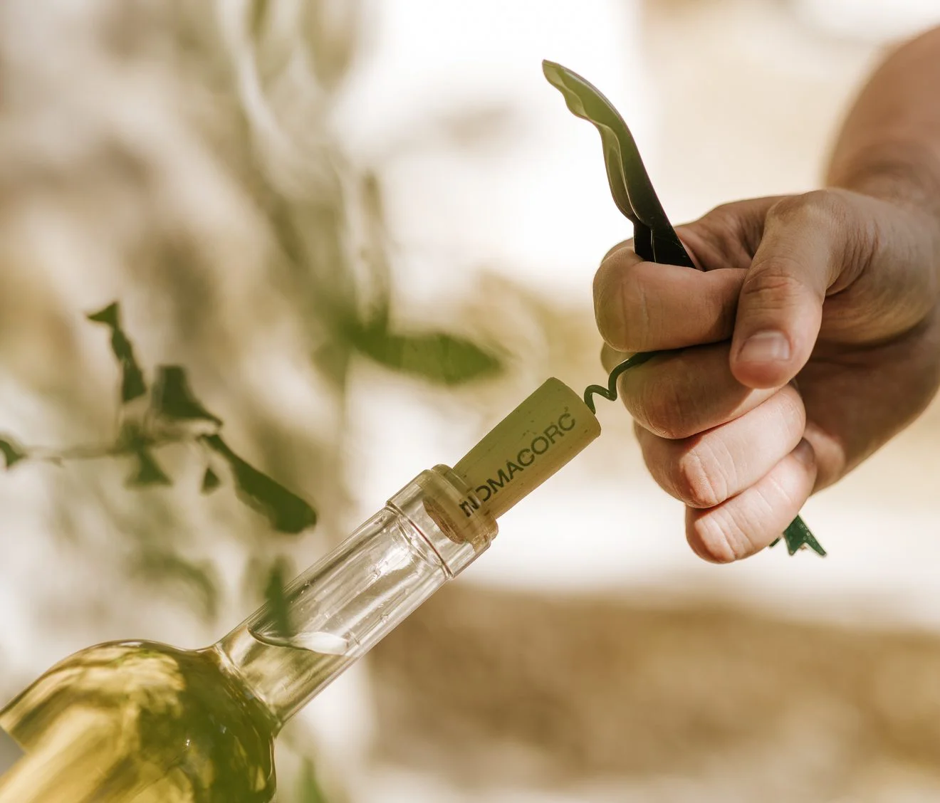 Приглашение на серию вебинаров