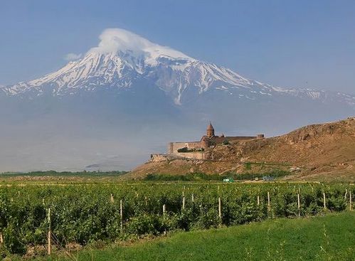 მეღვინეობა სომხეთში