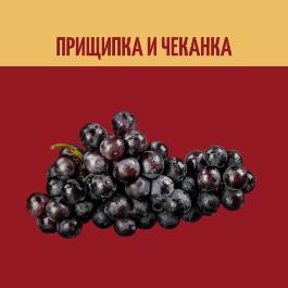 ყურძნის ყლორტების დაჭერა და დევნა: რა განსხვავებაა