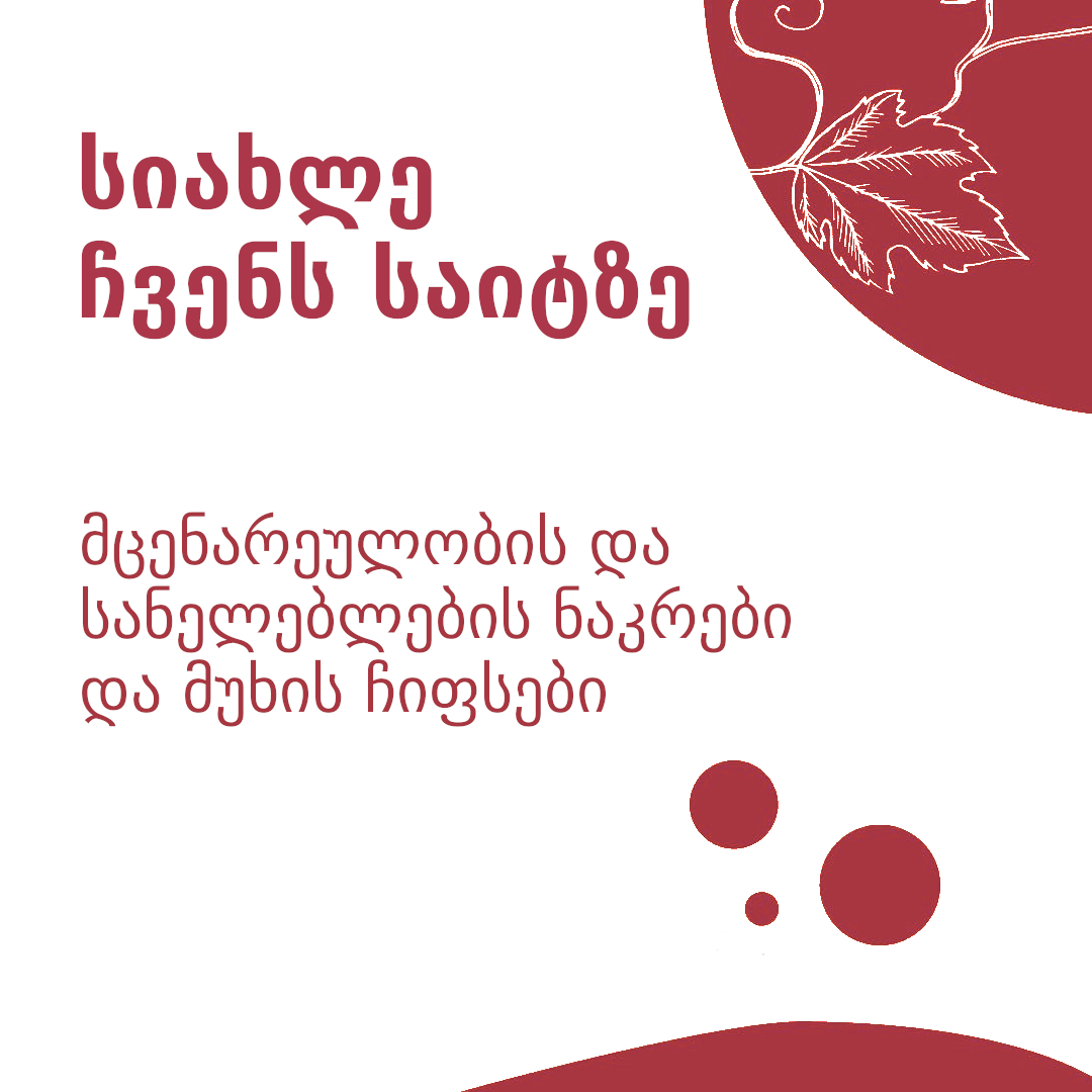 სიახლე Enogrup.ge-ს საიტზე
