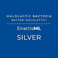 ENARTIS ML SILVER 25 HL